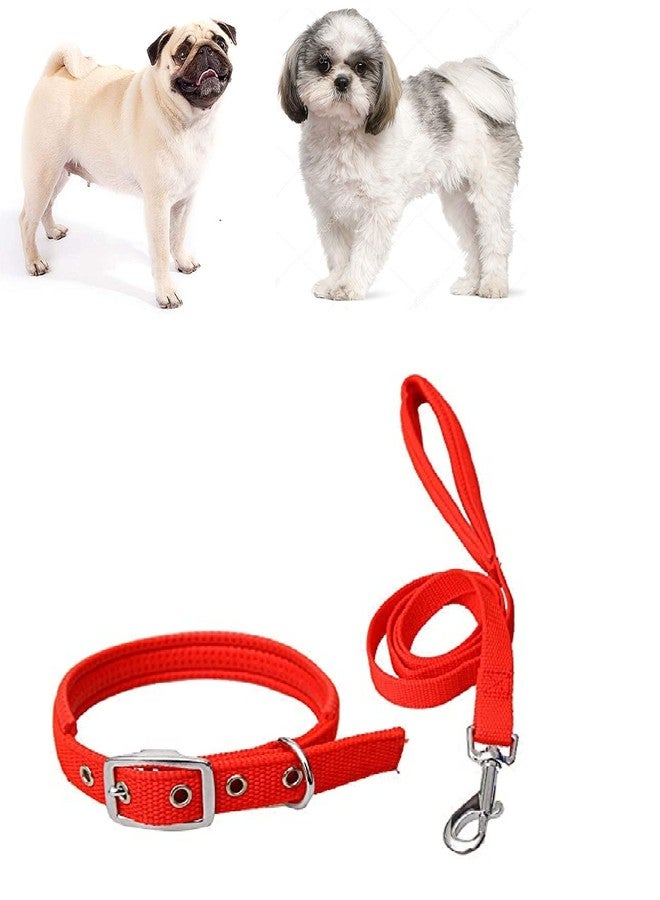 Smart Pups طقم سمارت بابز للكلاب الصغيرة، يتضمن حزامًا وطوقًا قابلين للتعديل (مقاوم للماء، مصنوع من النايلون) (أحمر، صغير) - Image 2